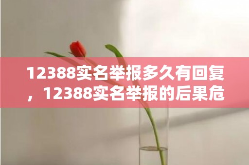 12388实名举报多久有回复，12388实名举报的后果危险