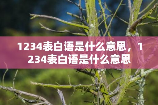 1234表白语是什么意思，1234表白语是什么意思