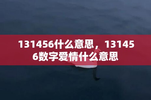 131456什么意思，131456数字爱情什么意思