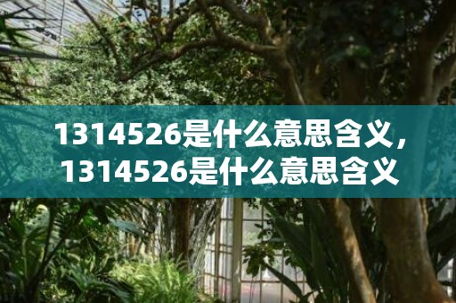 1314526是什么意思含义，1314526是什么意思含义