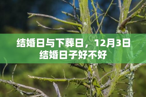 结婚日与下葬日，12月3日结婚日子好不好