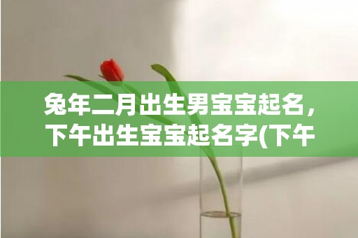 兔年二月出生男宝宝起名，下午出生宝宝起名字(下午出生宝宝起名字 名字灵感大全)