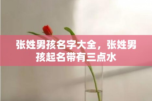 张姓男孩名字大全，张姓男孩起名带有三点水