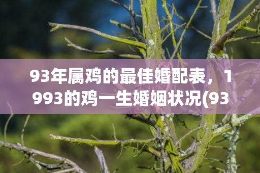 93年属鸡的最佳婚配表，1993的鸡一生婚姻状况(93年属鸡的最佳婚配)