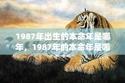 1987年出生的本命年是哪年，1987年的本命年是哪些年(1987年出生的今年多大了)