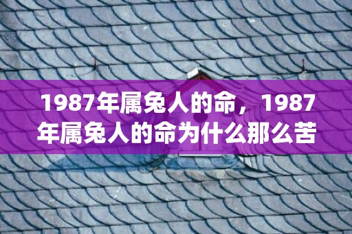 1987年属兔人的命，1987年属兔人的命为什么那么苦(1987年属兔人2023年下半年运势)