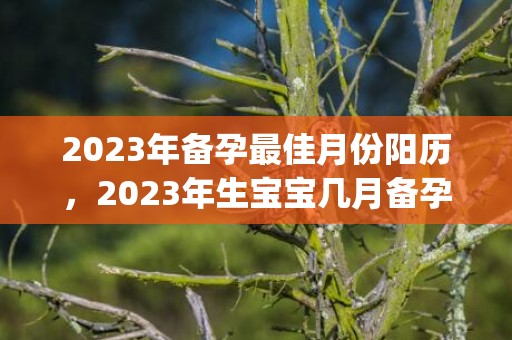 2023年备孕最佳月份阳历，2023年生宝宝几月备孕好(2023年备孕最佳时间表农历)