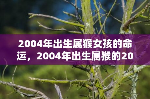 2004年出生属猴女孩的命运，2004年出生属猴的2021年健康运走向