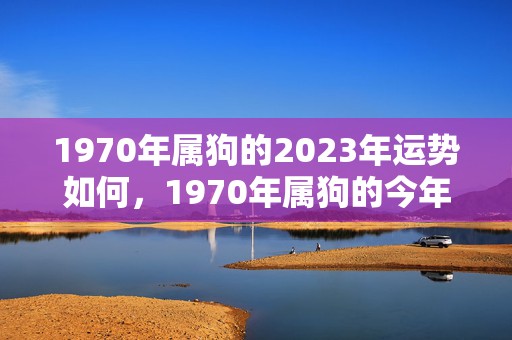 1970年属狗的2023年运势如何，1970年属狗的今年多大