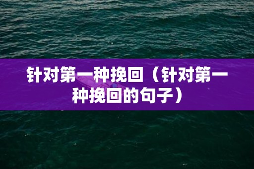 针对第一种挽回（针对第一种挽回的句子）