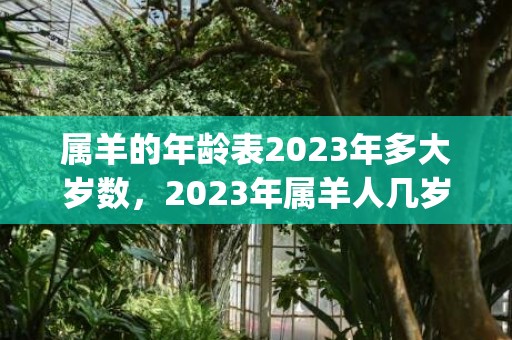 属羊的年龄表2023年多大岁数，2023年属羊人几岁(属羊的年龄表2022)