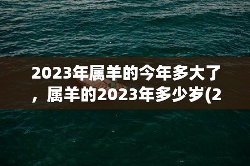 2023年属羊的今年多大了，属羊的2023年多少岁(2023年属羊的多大岁数了)