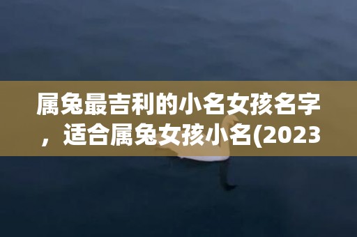 属兔最吉利的小名女孩名字，适合属兔女孩小名(2023属兔男孩最吉利的名字)