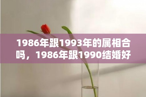 1986年跟1993年的属相合吗，1986年跟1990结婚好吗