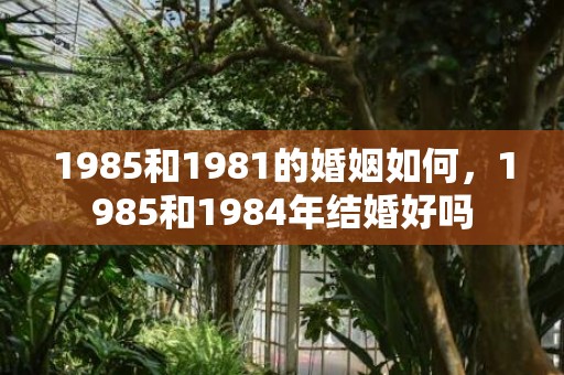 1985和1981的婚姻如何，1985和1984年结婚好吗