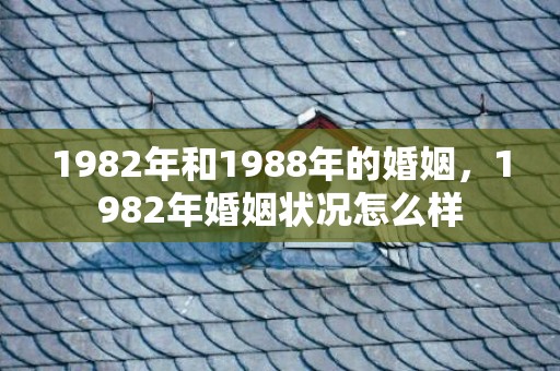 1982年和1988年的婚姻，1982年婚姻状况怎么样