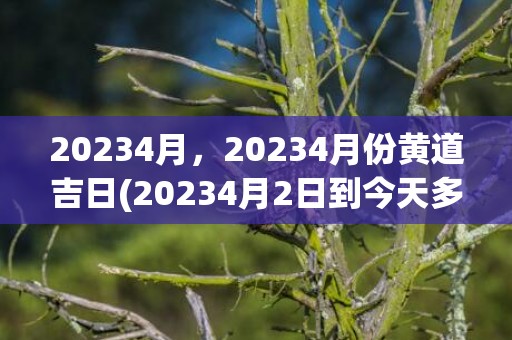 20234月，20234月份黄道吉日(20234月2日到今天多少天)