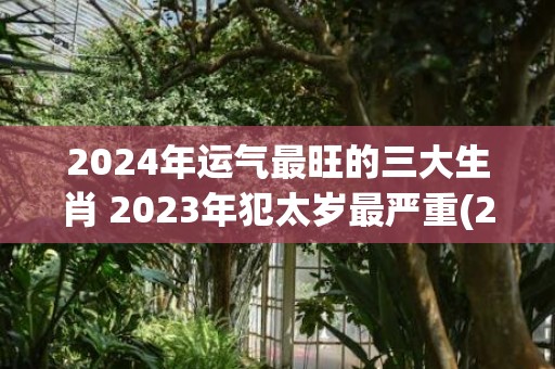 2024年运气最旺的三大生肖 2023年犯太岁最严重(2024年运气最差的三大生肖女)