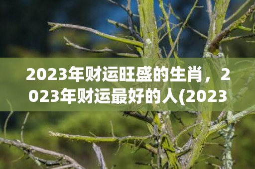 2023年财运旺盛的生肖，2023年财运最好的人(2023年财运旺到爆的星座)