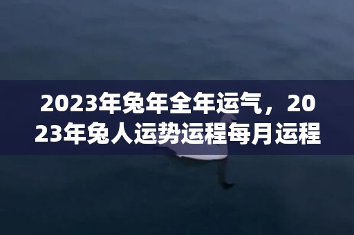 2023年兔年全年运气，2023年兔人运势运程每月运程(2023年兔年全家祝福语怎么写)