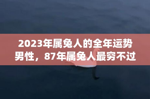 2023年属兔人的全年运势男性，87年属兔人最穷不过36岁(2023年属兔人如何化解太岁)