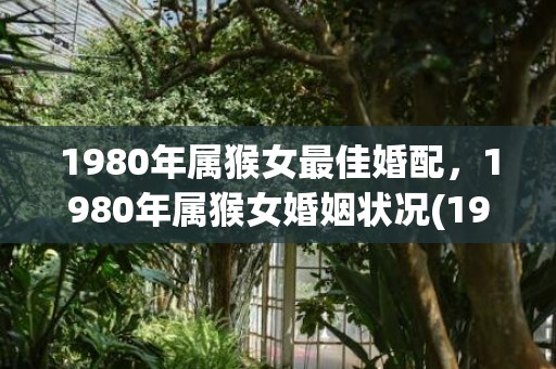 1980年属猴女最佳婚配，1980年属猴女婚姻状况(1980年属猴女2023年运势及每月运程)