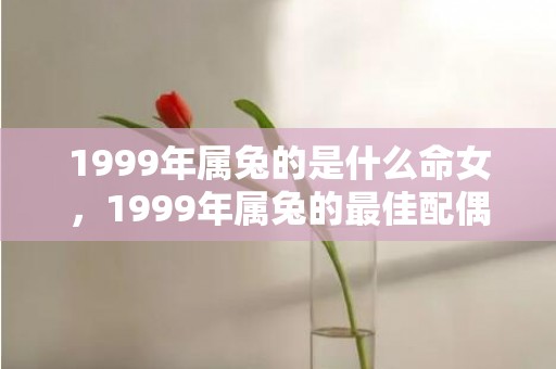 1999年属兔的是什么命女，1999年属兔的最佳配偶