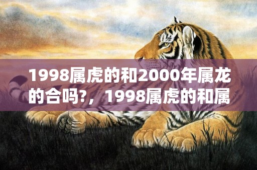 1998属虎的和2000年属龙的合吗?，1998属虎的和属龙的配吗