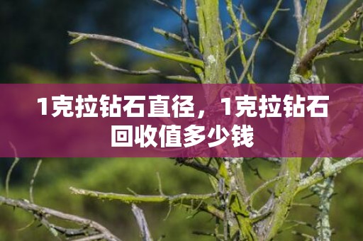 1克拉钻石直径，1克拉钻石回收值多少钱