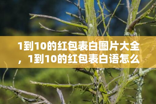 1到10的红包表白图片大全，1到10的红包表白语怎么写