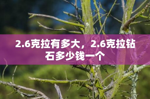 2.6克拉有多大，2.6克拉钻石多少钱一个