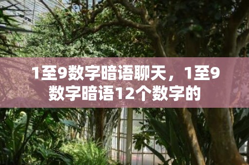 1至9数字暗语聊天，1至9数字暗语12个数字的