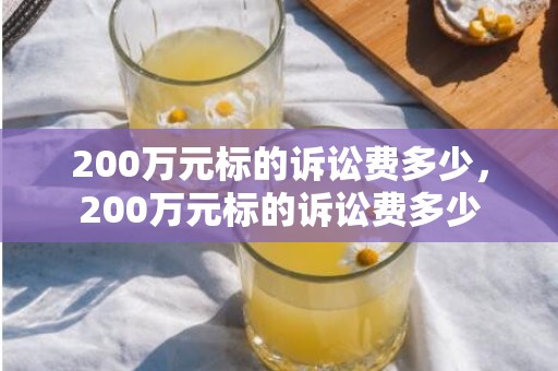 200万元标的诉讼费多少，200万元标的诉讼费多少