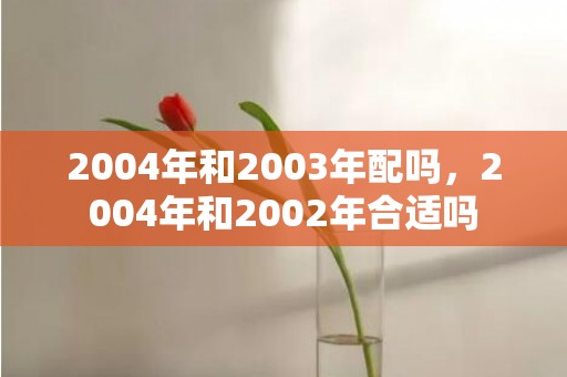 2004年和2003年配吗，2004年和2002年合适吗