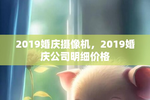 2019婚庆摄像机，2019婚庆公司明细价格