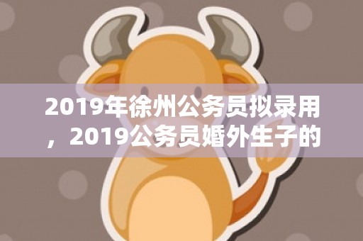 2019年徐州公务员拟录用，2019公务员婚外生子的规定