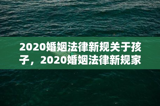 2020婚姻法律新规关于孩子，2020婚姻法律新规家暴