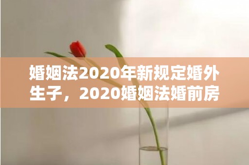 婚姻法2020年新规定婚外生子，2020婚姻法婚前房产加名字