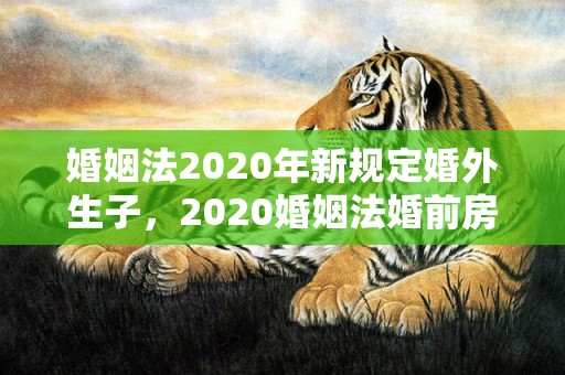 婚姻法2020年新规定婚外生子，2020婚姻法婚前房产分割