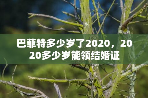 巴菲特多少岁了2020，2020多少岁能领结婚证