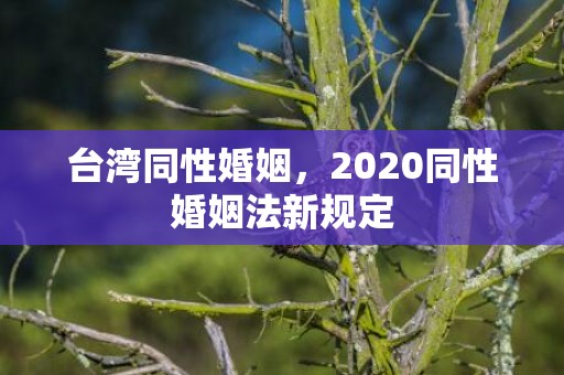 台湾同性婚姻，2020同性婚姻法新规定