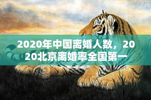 2020年中国离婚人数，2020北京离婚率全国第一