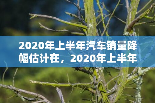 2020年上半年汽车销量降幅估计在，2020年上半年结婚登记人数