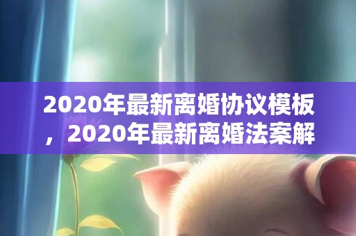 2020年最新离婚协议模板，2020年最新离婚法案解读