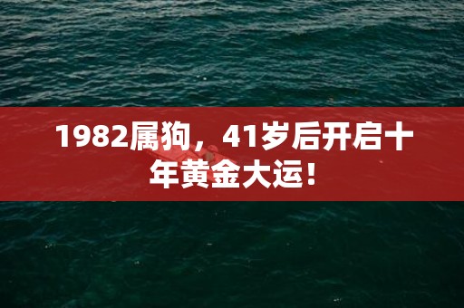 1982属狗，41岁后开启十年黄金大运！