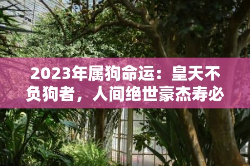 2023年属狗命运：皇天不负狗者，人间绝世豪杰寿必长