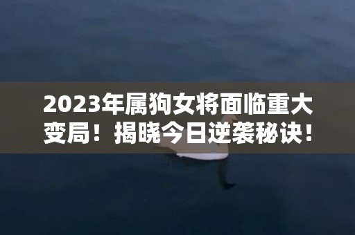 2023年属狗女将面临重大变局！揭晓今日逆袭秘诀！