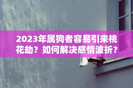 2023年属狗者容易引来桃花劫？如何解决感情波折？