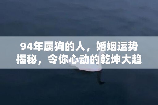 94年属狗的人，婚姻运势揭秘，令你心动的乾坤大趋势