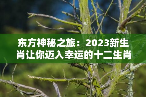 东方神秘之旅：2023新生肖让你迈入幸运的十二生肖时代